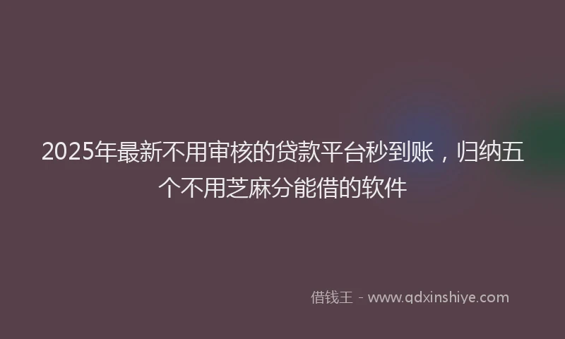 2025年最新不用审核的贷款平台秒到账，归纳五个不用芝麻分能借的软件