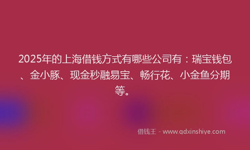 2025年的上海借钱方式有哪些公司有:瑞宝钱包、金小豚、现金秒融易宝、畅行花、小金鱼分期等。