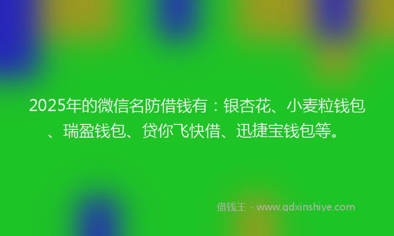 2025年的微信名防借钱有：银杏花、小麦粒钱包、瑞盈钱包、贷你飞快借、迅捷宝钱包等。