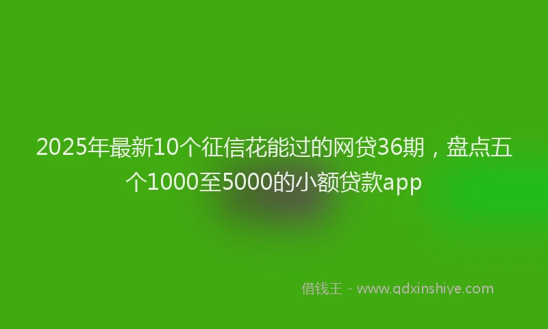 2025年最新10个征信花能过的网贷36期，盘点五个1000至5000的小额贷款app