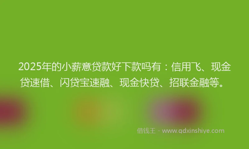 2025年的小薪意贷款好下款吗有：信用飞、现金贷速借、闪贷宝速融、现金快贷、招联金融等。