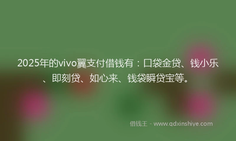 2025年的vivo翼支付借钱有：口袋金贷、钱小乐、即刻贷、如心来、钱袋瞬贷宝等。