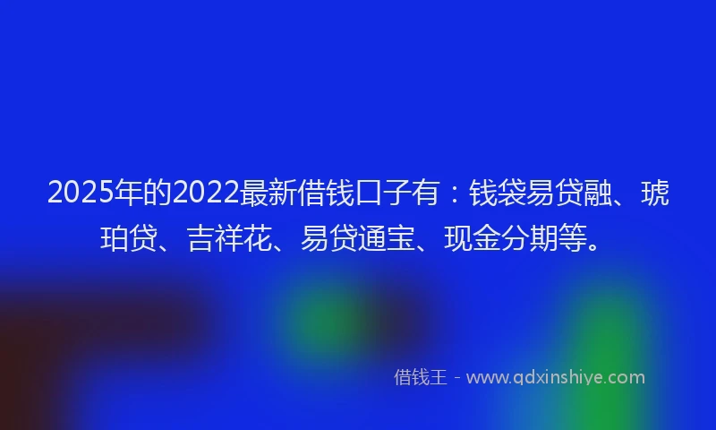 2025年的2022最新借钱口子有：钱袋易贷融、琥珀贷、吉祥花、易贷通宝、现金分期等。