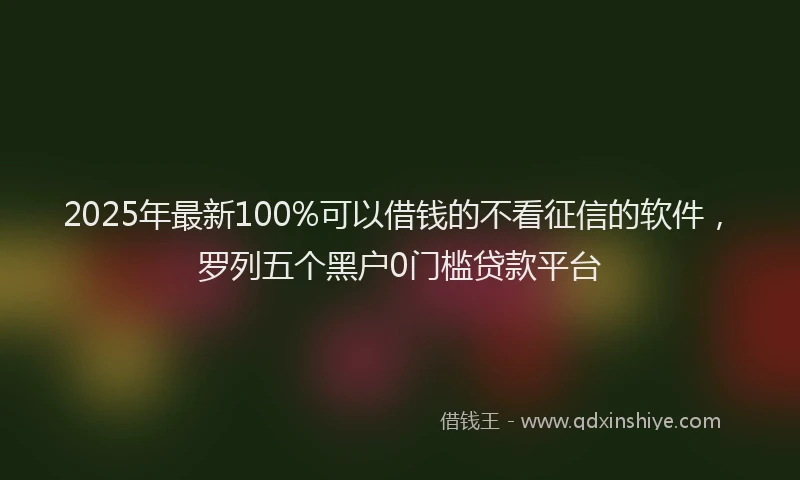 2025年最新100%可以借钱的不看征信的软件，罗列五个黑户0门槛贷款平台
