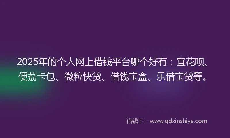 2025年的个人网上借钱平台哪个好有：宜花呗、便荔卡包、微粒快贷、借钱宝盒、乐借宝贷等。