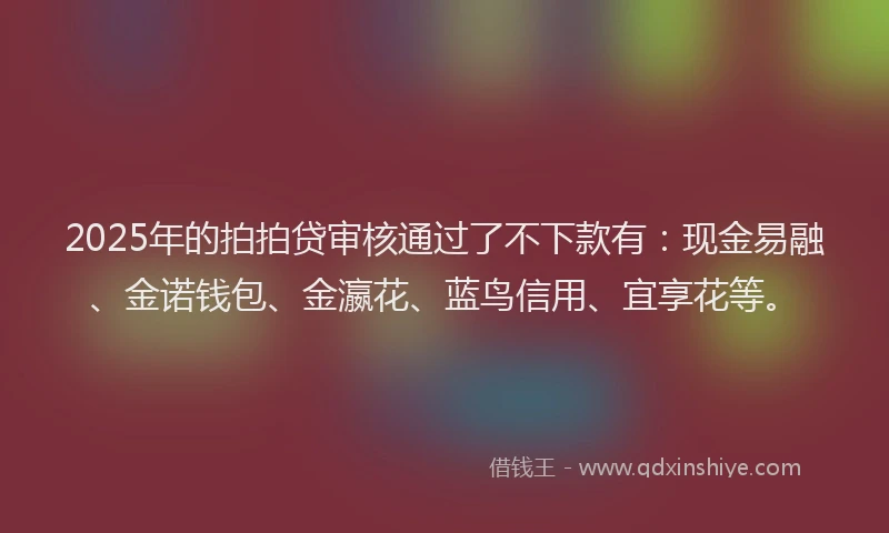 2025年的拍拍贷审核通过了不下款有：现金易融、金诺钱包、金瀛花、蓝鸟信用、宜享花等。