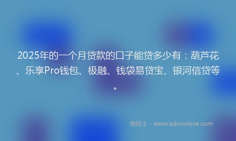 2025年的一个月贷款的口子能贷多少有：葫芦花、乐享Pro钱包、极融、钱袋易贷宝、银河信贷等。