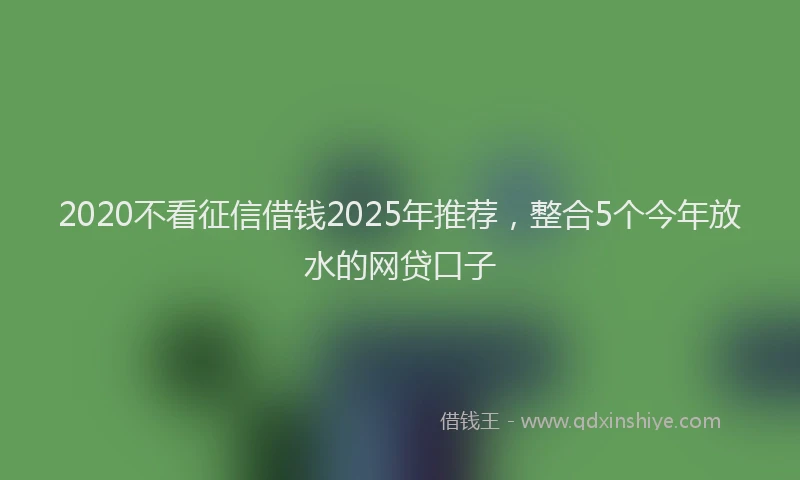 2020不看征信借钱2025年推荐,整合5个今年放水的网贷口子
