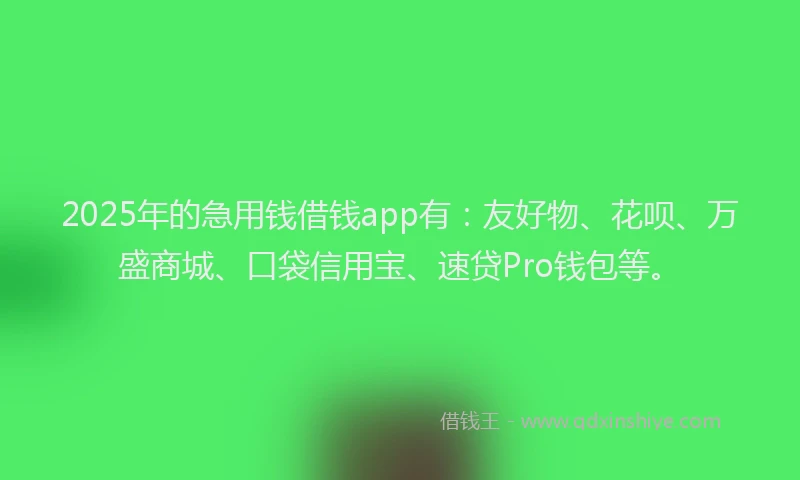 2025年的急用钱借钱app有：友好物、花呗、万盛商城、口袋信用宝、速贷Pro钱包等。