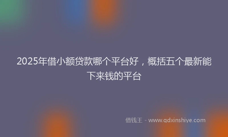 2025年借小额贷款哪个平台好，概括五个最新能下来钱的平台