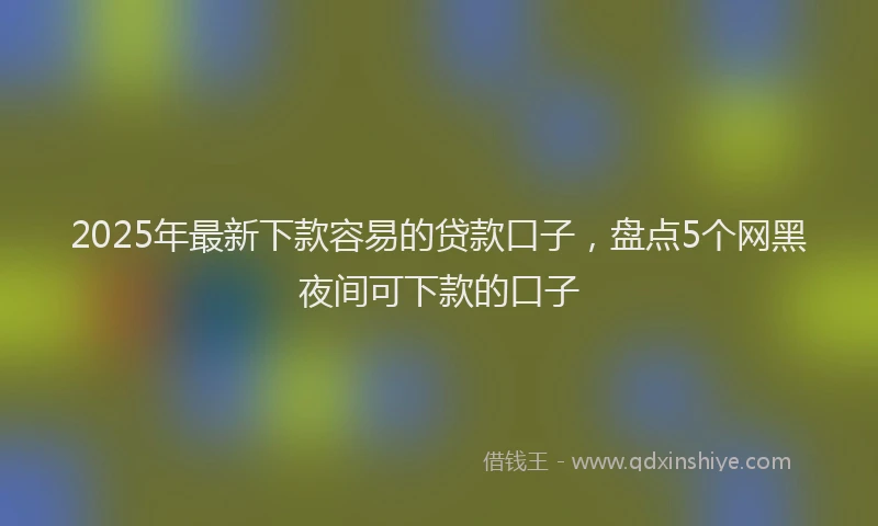 2025年最新下款容易的贷款口子，盘点5个网黑夜间可下款的口子