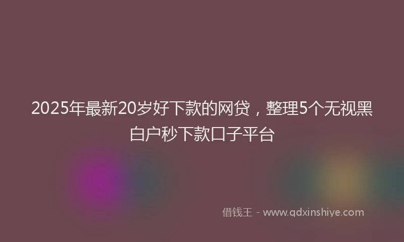 2025年最新20岁好下款的网贷，整理5个无视黑白户秒下款口子平台