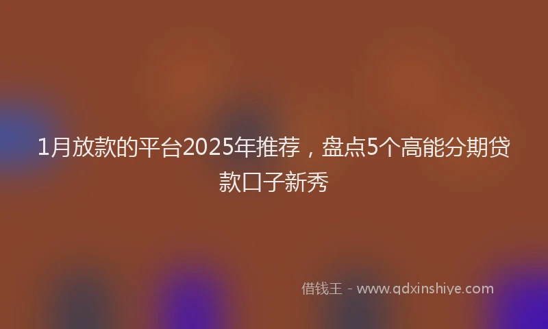 1月放款的平台2025年推荐，盘点5个高能分期贷款口子新秀