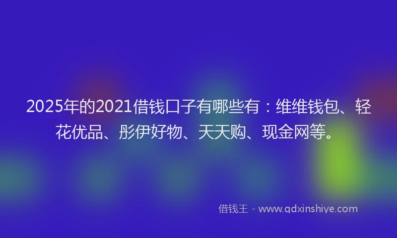 2025年的2021借钱口子有哪些有：维维钱包、轻花优品、彤伊好物、天天购、现金网等。