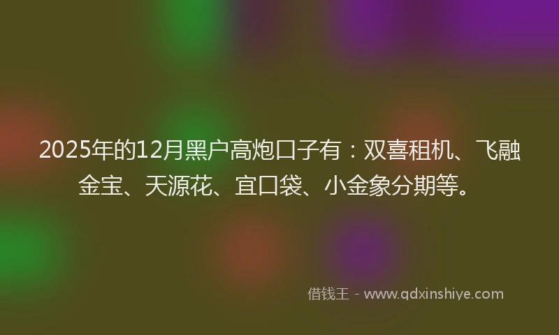 2025年的12月黑户高炮口子有：双喜租机、飞融金宝、天源花、宜口袋、小金象分期等。