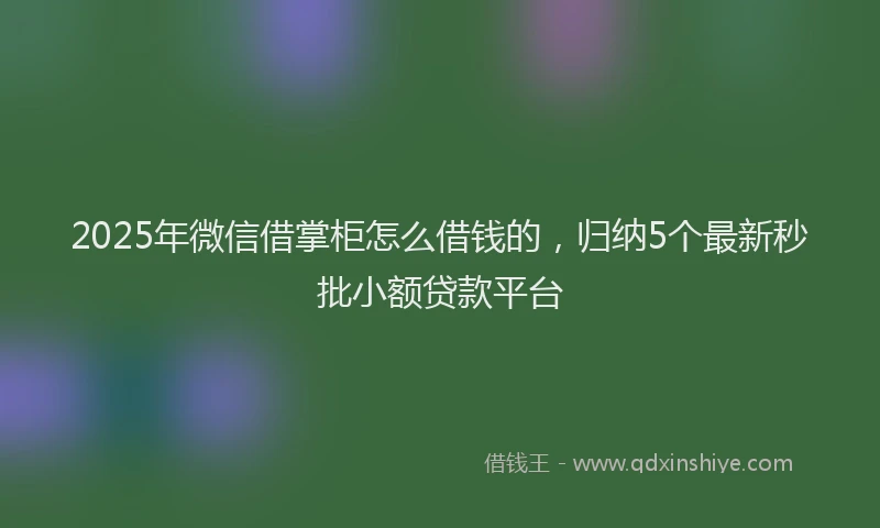 2025年微信借掌柜怎么借钱的，归纳5个最新秒批小额贷款平台