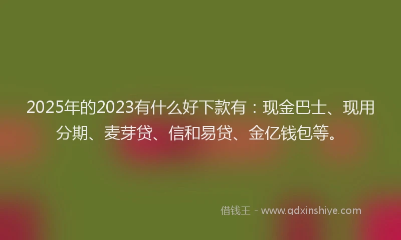 2025年的2023有什么好下款有：现金巴士、现用分期、麦芽贷、信和易贷、金亿钱包等。
