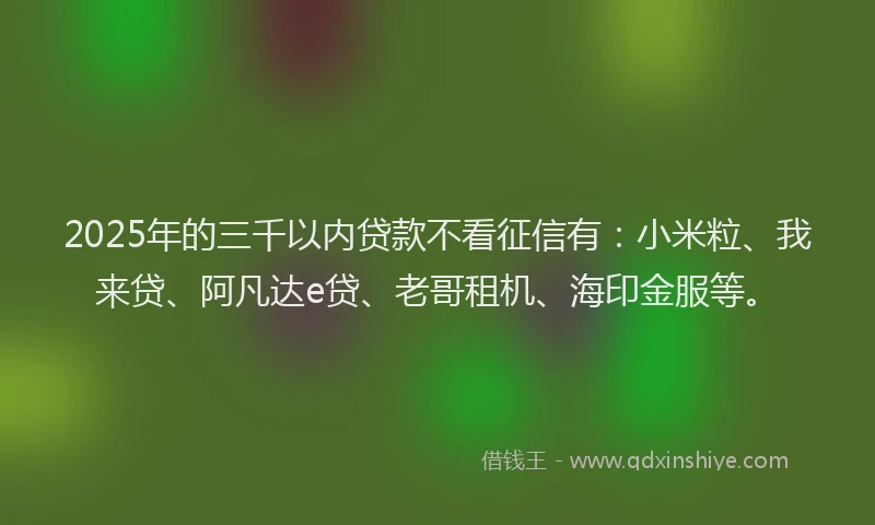 2025年的三千以内贷款不看征信有：小米粒、我来贷、阿凡达e贷、老哥租机、海印金服等。
