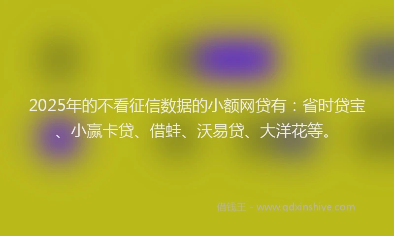 2025年的不看征信数据的小额网贷有：省时贷宝、小赢卡贷、借蛙、沃易贷、大洋花等。