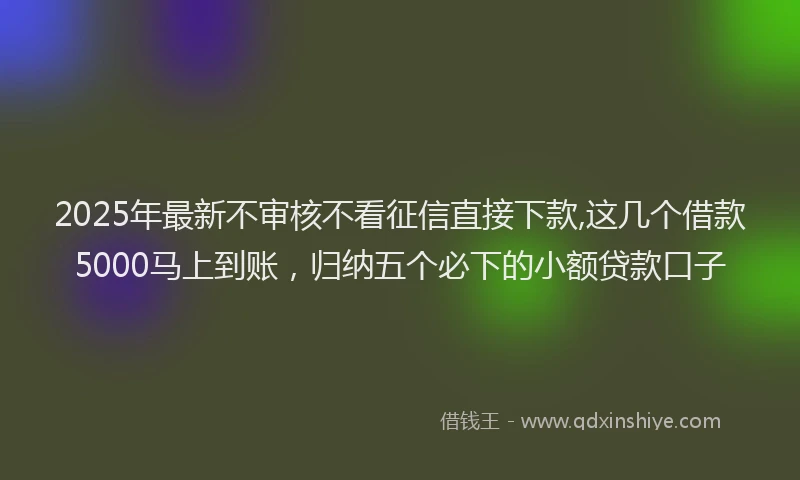 2025年最新不审核不看征信直接下款,这几个借款5000马上到账，归纳五个必下的小额贷款口子