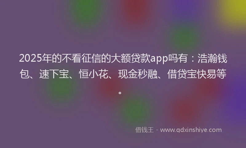 2025年的不看征信的大额贷款app吗有：浩瀚钱包、速下宝、恒小花、现金秒融、借贷宝快易等。