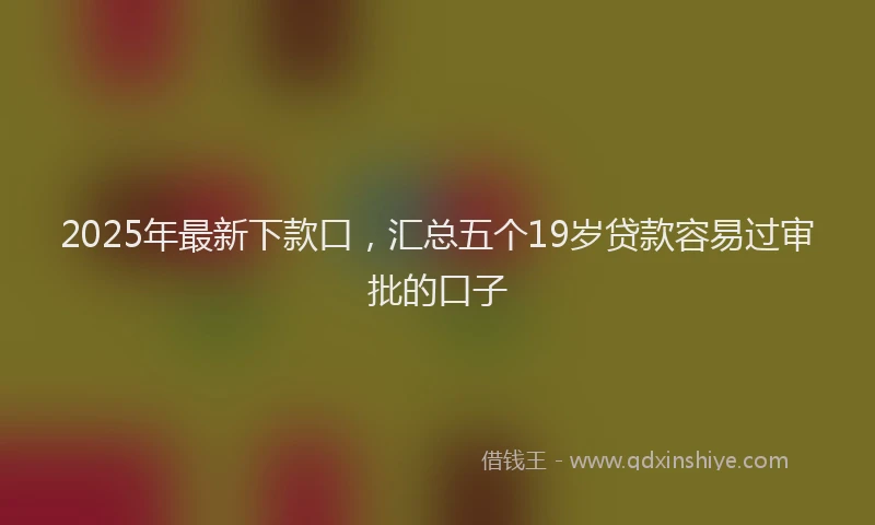 2025年最新下款口，汇总五个19岁贷款容易过审批的口子