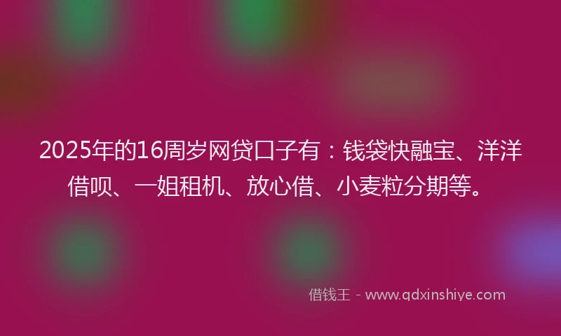 2025年的16周岁网贷口子有：钱袋快融宝、洋洋借呗、一姐租机、放心借、小麦粒分期等。
