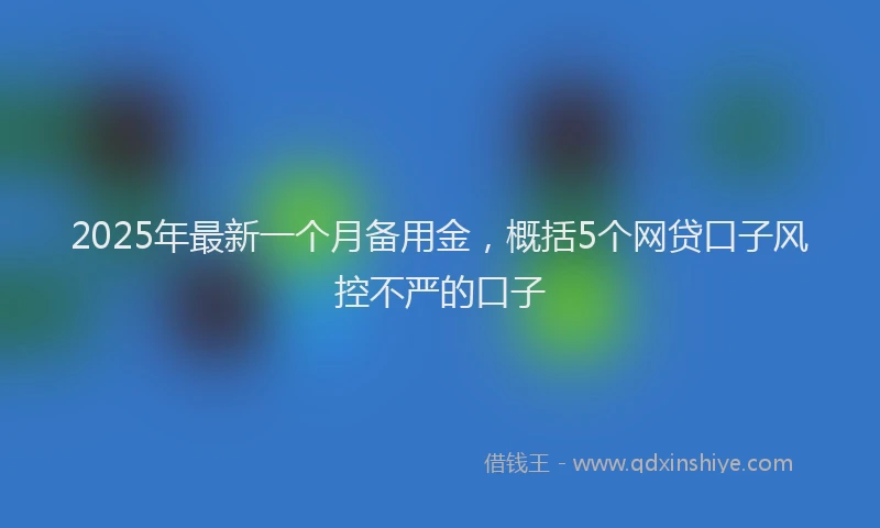 2025年最新一个月备用金，概括5个网贷口子风控不严的口子
