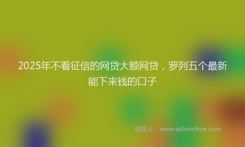 2025年不看征信的网贷大额网贷，罗列五个最新能下来钱的口子