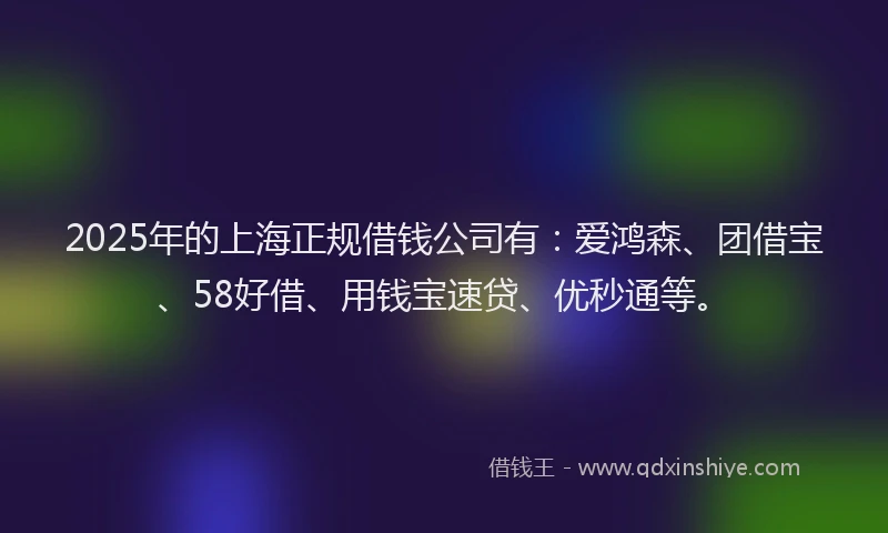 2025年的上海正规借钱公司有：爱鸿森、团借宝、58好借、用钱宝速贷、优秒通等。