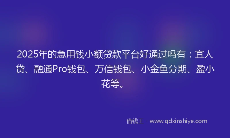 2025年的急用钱小额贷款平台好通过吗有：宜人贷、融通Pro钱包、万信钱包、小金鱼分期、盈小花等。