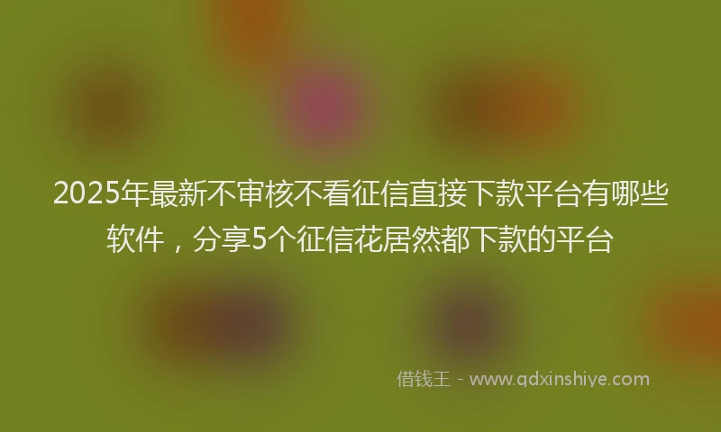 2025年最新不审核不看征信直接下款平台有哪些软件，分享5个征信花居然都下款的平台