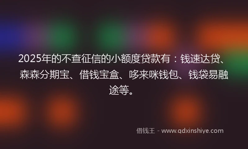 2025年的不查征信的小额度贷款有：钱速达贷、森森分期宝、借钱宝盒、哆来咪钱包、钱袋易融途等。