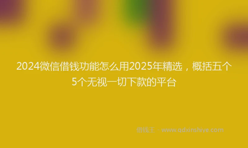 2024微信借钱功能怎么用2025年精选，概括五个5个无视一切下款的平台
