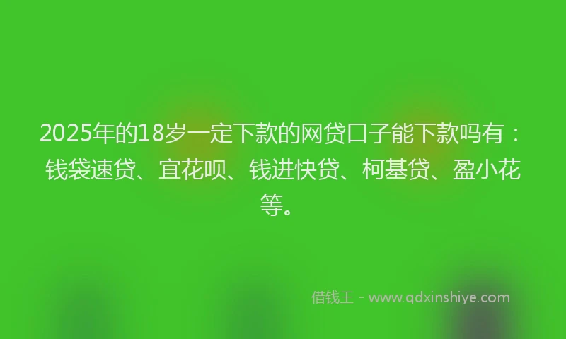 2025年的18岁一定下款的网贷口子能下款吗有：钱袋速贷、宜花呗、钱进快贷、柯基贷、盈小花等。