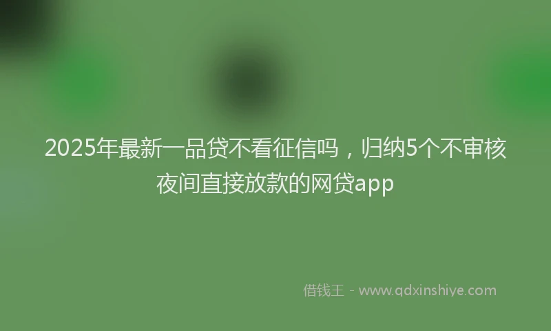 2025年最新一品贷不看征信吗，归纳5个不审核夜间直接放款的网贷app