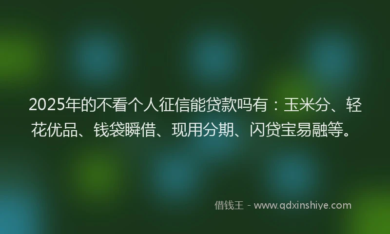 2025年的不看个人征信能贷款吗有：玉米分、轻花优品、钱袋瞬借、现用分期、闪贷宝易融等。