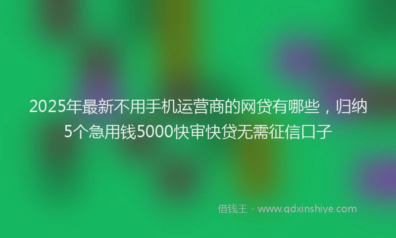 2025年最新不用手机运营商的网贷有哪些，归纳5个急用钱5000快审快贷无需征信口子