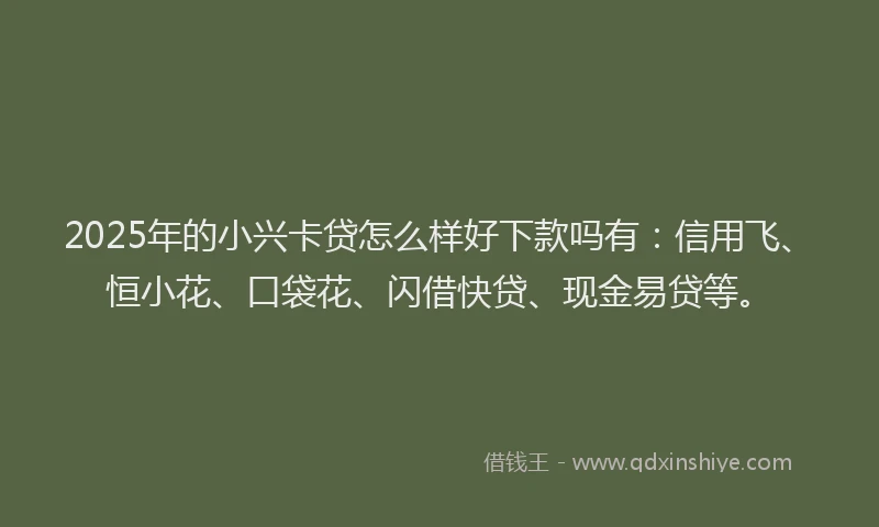 2025年的小兴卡贷怎么样好下款吗有：信用飞、恒小花、口袋花、闪借快贷、现金易贷等。