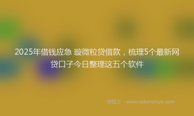 2025年借钱应急 璇微粒贷借款，梳理5个最新网贷口子今日整理这五个软件