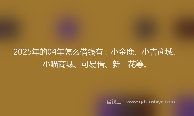 2025年的04年怎么借钱有：小金鹿、小吉商城、小喵商城、可易借、新一花等。
