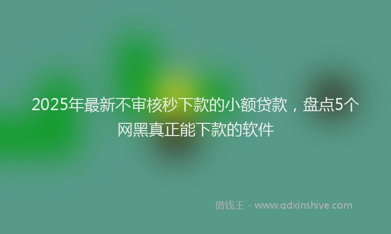 2025年最新不审核秒下款的小额贷款，盘点5个网黑真正能下款的软件