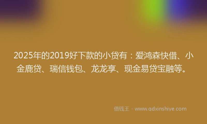 2025年的2019好下款的小贷有：爱鸿森快借、小金鹿贷、瑞信钱包、龙龙享、现金易贷宝融等。