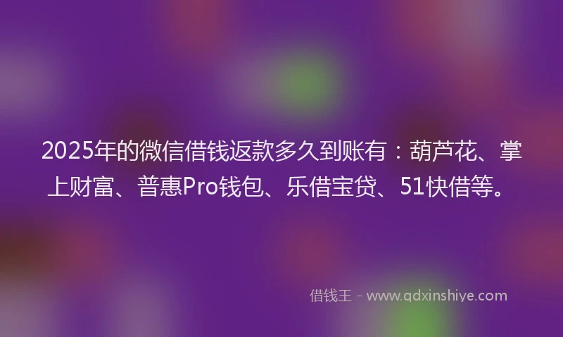 2025年的微信借钱返款多久到账有：葫芦花、掌上财富、普惠Pro钱包、乐借宝贷、51快借等。