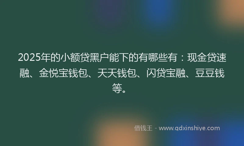 2025年的小额贷黑户能下的有哪些有：现金贷速融、金悦宝钱包、天天钱包、闪贷宝融、豆豆钱等。