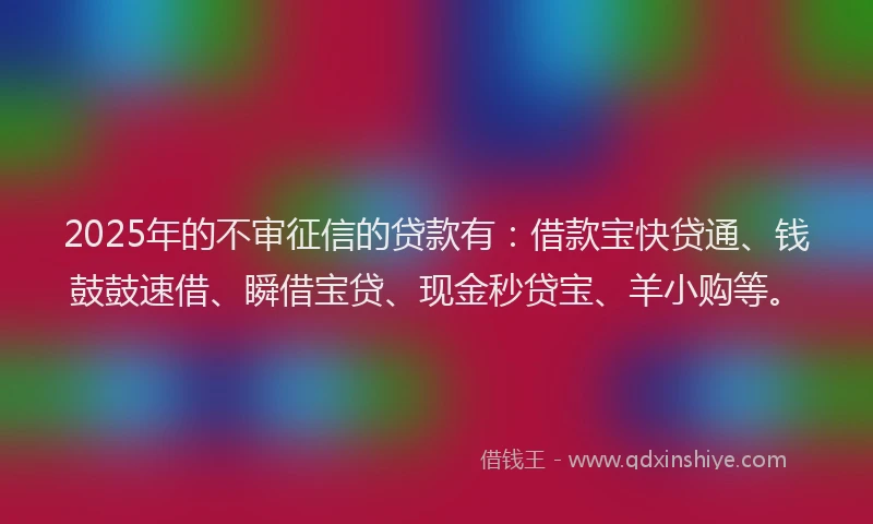 2025年的不审征信的贷款有：借款宝快贷通、钱鼓鼓速借、瞬借宝贷、现金秒贷宝、羊小购等。