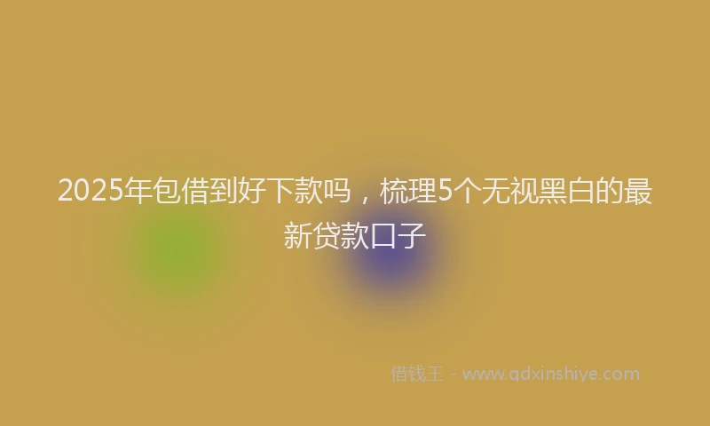 2025年包借到好下款吗，梳理5个无视黑白的最新贷款口子