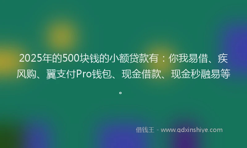 2025年的500块钱的小额贷款有：你我易借、疾风购、翼支付Pro钱包、现金借款、现金秒融易等。