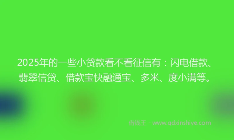 2025年的一些小贷款看不看征信有：闪电借款、翡翠信贷、借款宝快融通宝、多米、度小满等。