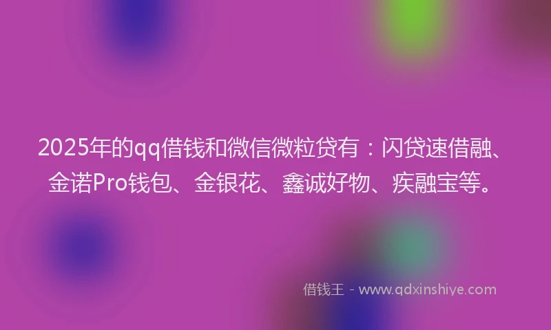 2025年的qq借钱和微信微粒贷有：闪贷速借融、金诺Pro钱包、金银花、鑫诚好物、疾融宝等。